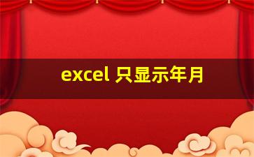 excel 只显示年月